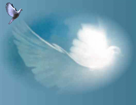 Pour mes amis qui souffrent